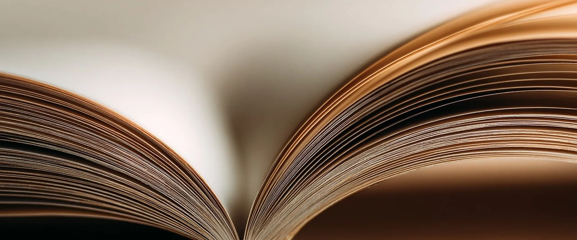 财神捕鱼PG电子